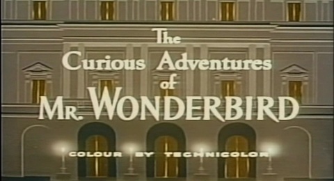 The Curious Adventures of Mr Wonderbird