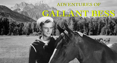 Adventures of Gallant Bess