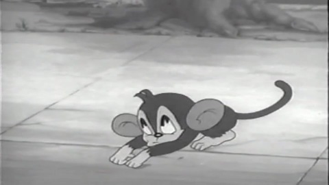 My Friend the Monkey