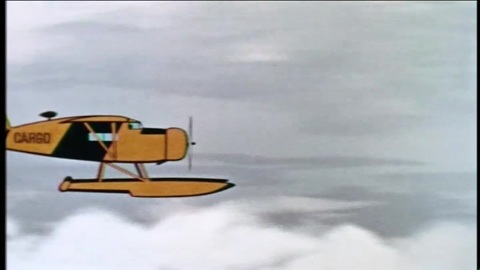 Bush Pilots