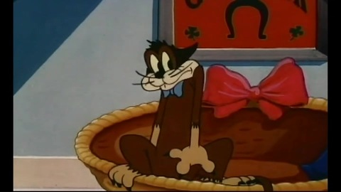 Buzzy Stupidstitious Cat