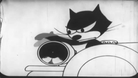 Cat and the Kit