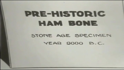 Felix in Bone Age