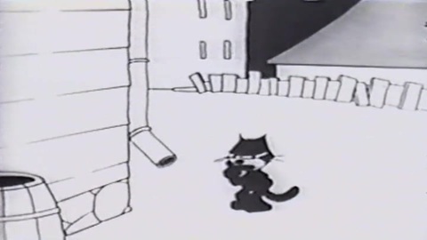 Felix in Futuritzy