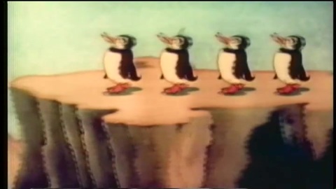 Peeping Penguins