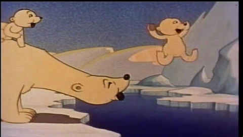 Playful Polar Bears