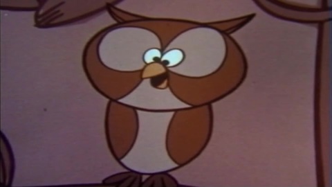 Owls