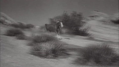 Challenge of the West
