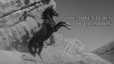 The Adventures of Champion